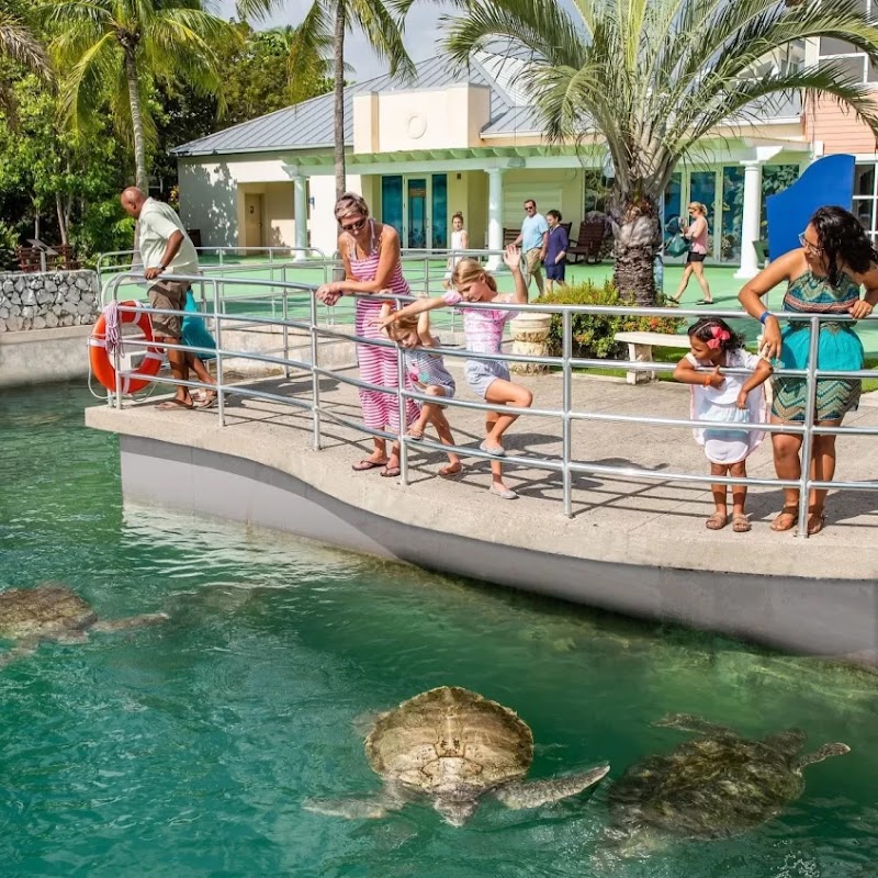 Majestic Tours — Tour Operator in George Town, Grand Cayman photo 3