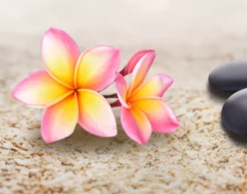 Now & Zen Spa