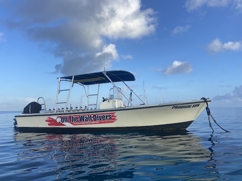 Off The Wall Divers — Scuba Diving in George Town, Grand Cayman