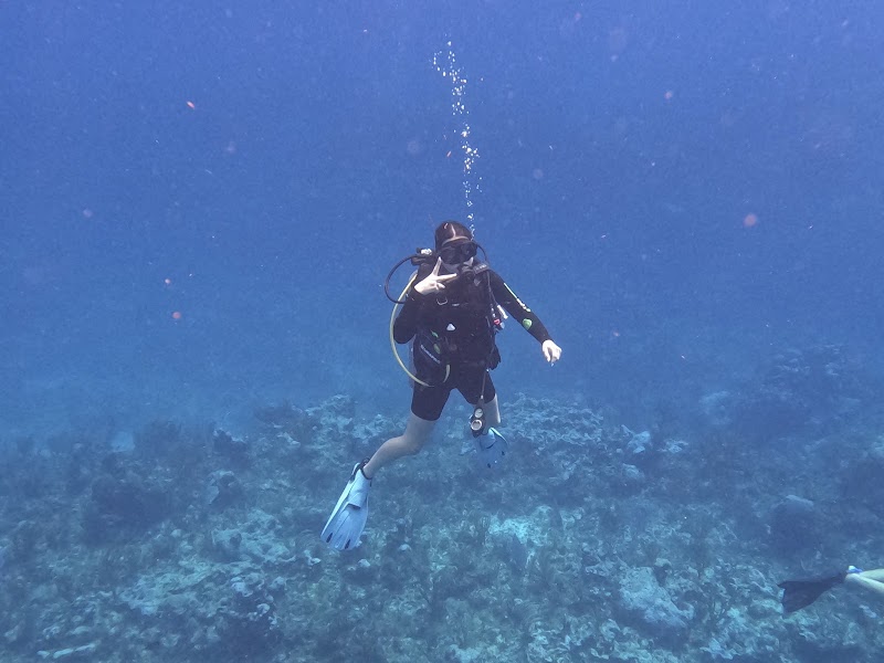 Off The Wall Divers — Scuba Diving in George Town, Grand Cayman photo 3