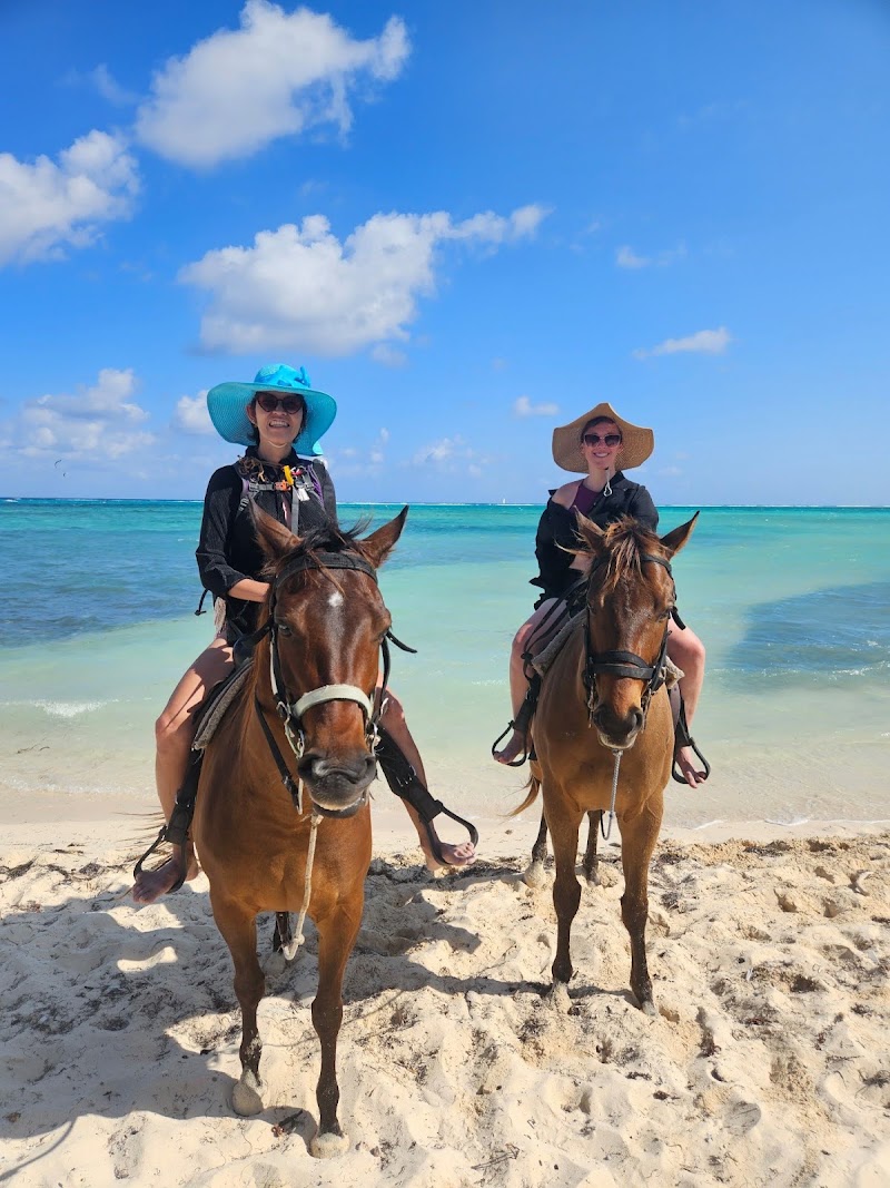 Pampered Ponies Ltd — Horseback Riding Tours in West Bay, Grand Cayman