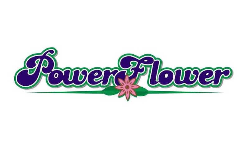 Power Flower — Landscaping in George Town, Grand Cayman photo 3