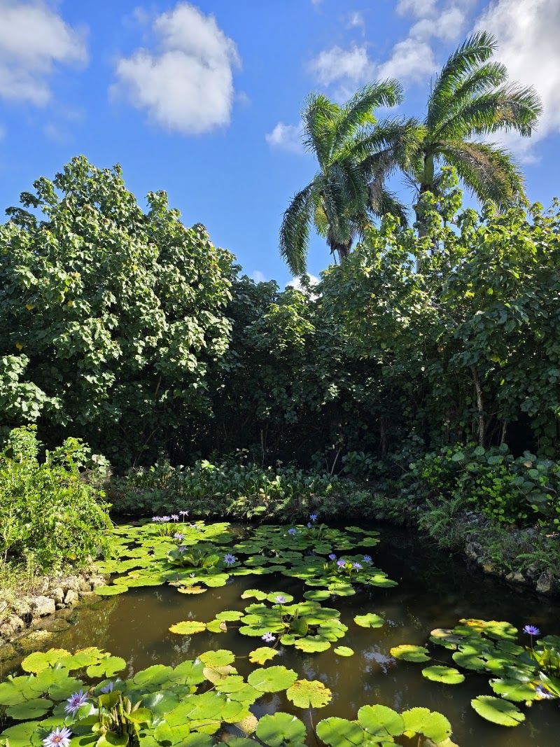 Queen Elizabeth II Botanic Park — Nature & Garden in North Side, Grand Cayman photo 2