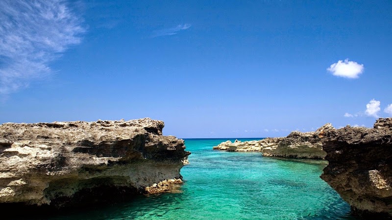 REM Services Ltd. — Property Management in George Town, Grand Cayman photo 2