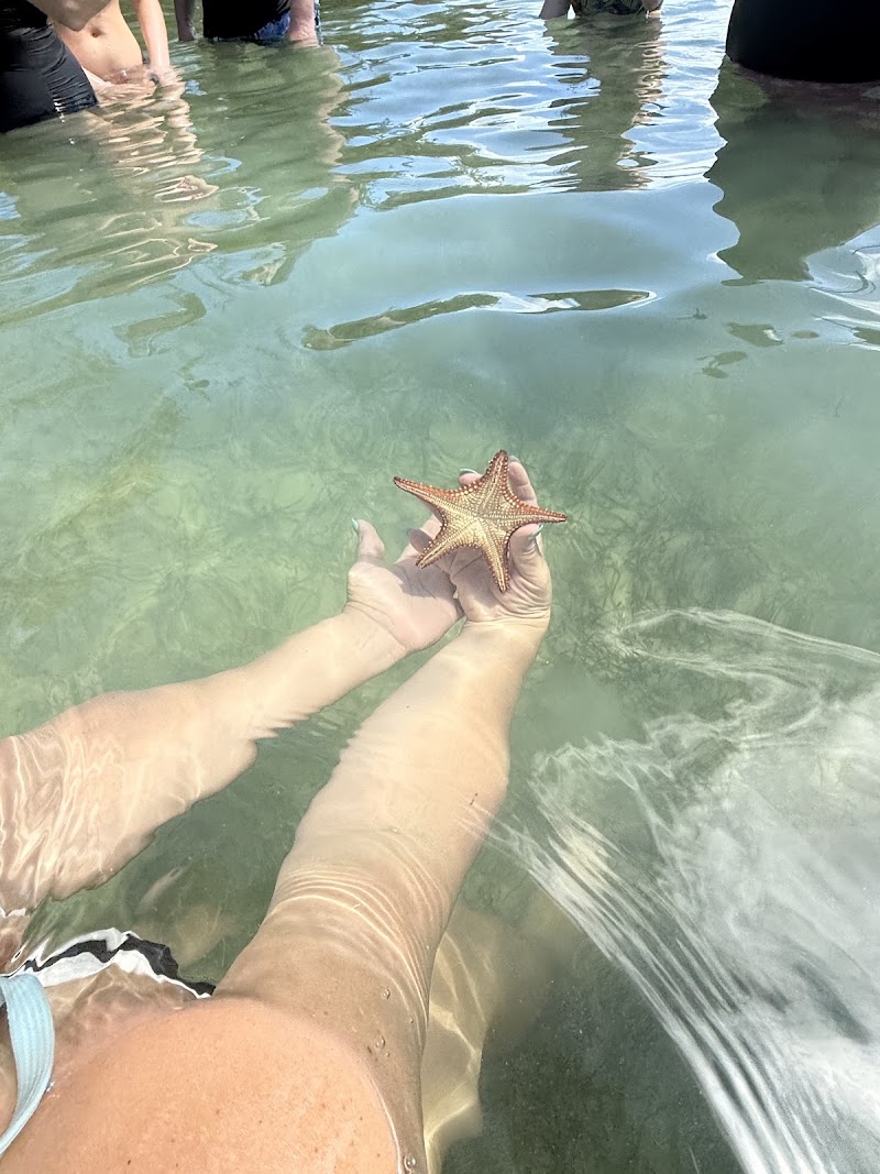 Rowan Watersports LTD — Watersports Tours in West Bay, Grand Cayman photo 3