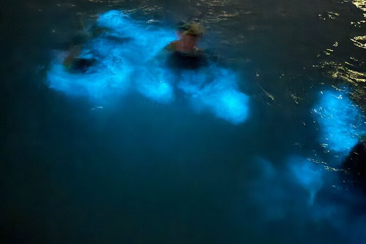 Seafarer Adventurers Ltd — Bioluminescence Tours in Seven Mile Beach, Grand Cayman