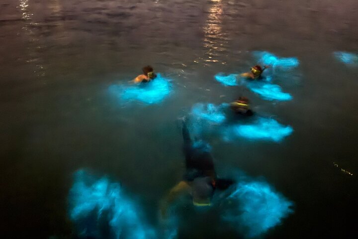 Seafarer Adventurers Ltd — Bioluminescence Tours in Seven Mile Beach, Grand Cayman photo 2