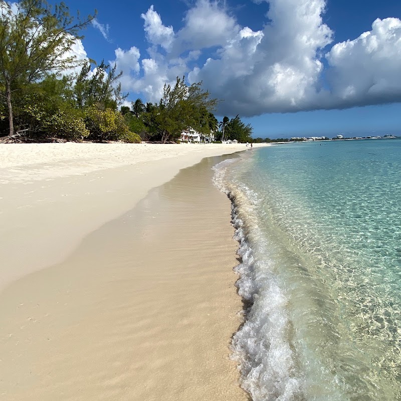 Seven — Steakhouse in Seven Mile Beach, Grand Cayman photo 3