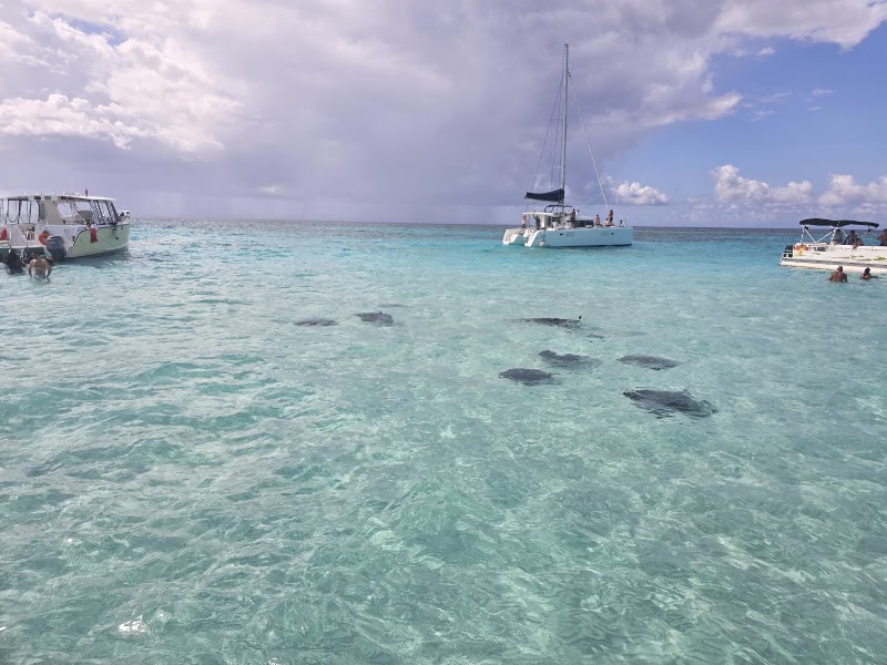 Six Senses Cayman Adventures — Tour Operator in Cayman Kai, Grand Cayman photo 3