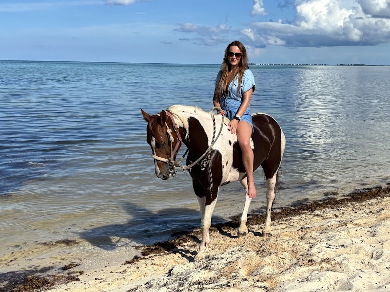 Spirit of the West — Horseback Riding Tours in West Bay, Grand Cayman