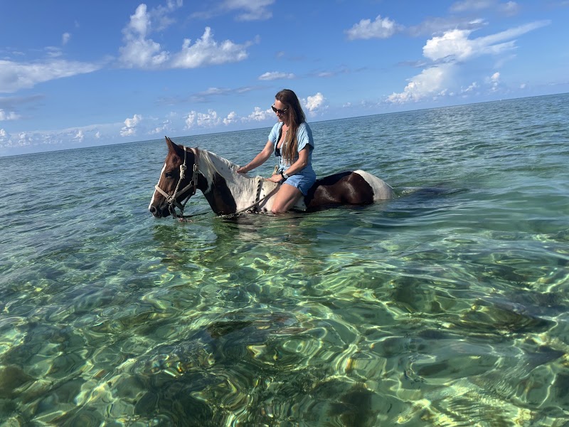 Spirit of the West — Horseback Riding Tours in West Bay, Grand Cayman photo 2