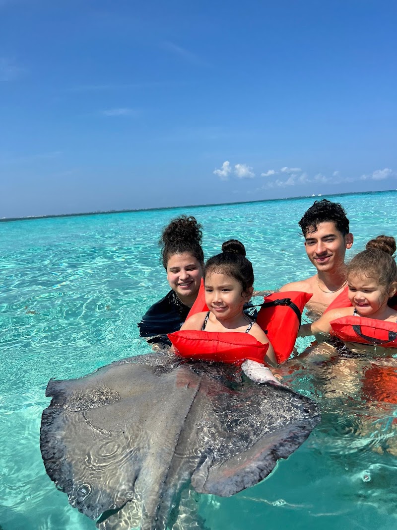 Stingray City Cayman Tours — Stingray City Tours in West Bay, Grand Cayman photo 2