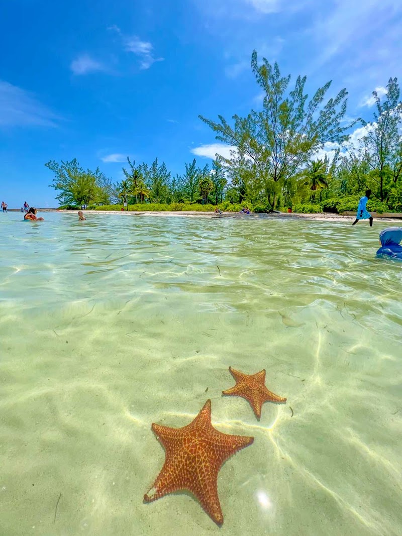 Stingray City Cayman Tours — Stingray City Tours in West Bay, Grand Cayman photo 3
