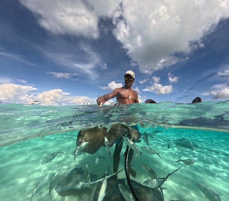 Stingray Sailing — Catamaran Tours in George Town, Grand Cayman