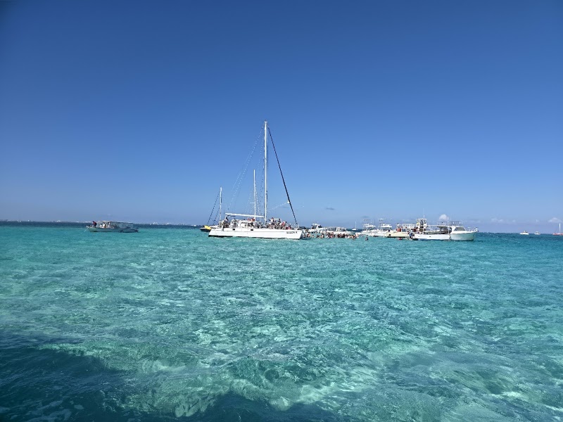 Stingray Sailing — Catamaran Tours in George Town, Grand Cayman photo 2