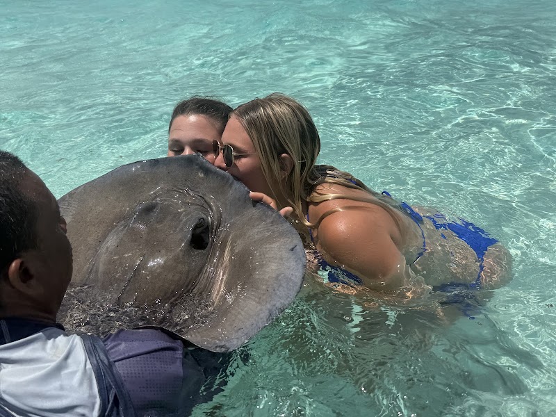 Stingray Sailing — Catamaran Tours in George Town, Grand Cayman photo 3