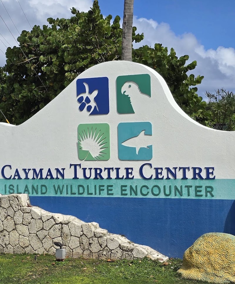 The Blue Turtle — Home & Gift in Camana Bay, Grand Cayman photo 2