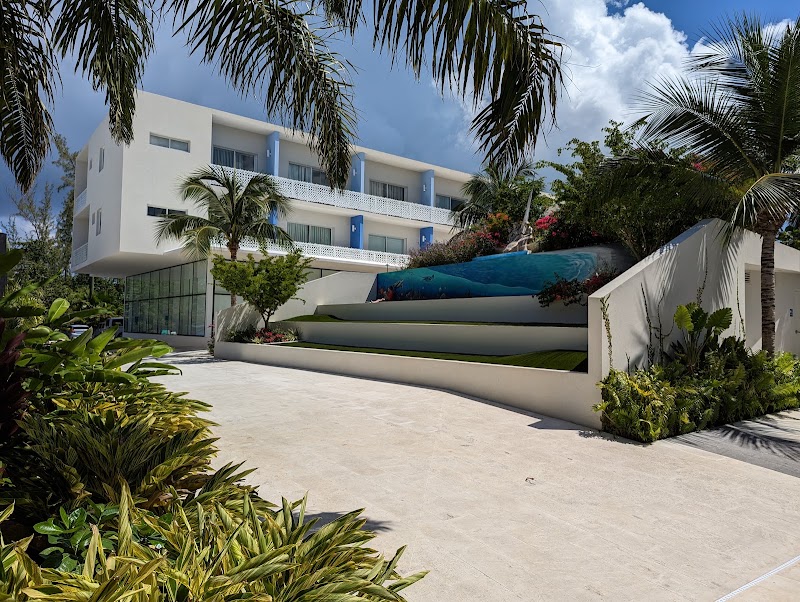 The Grove — Vacation Accommodation in Seven Mile Beach, Grand Cayman photo 3