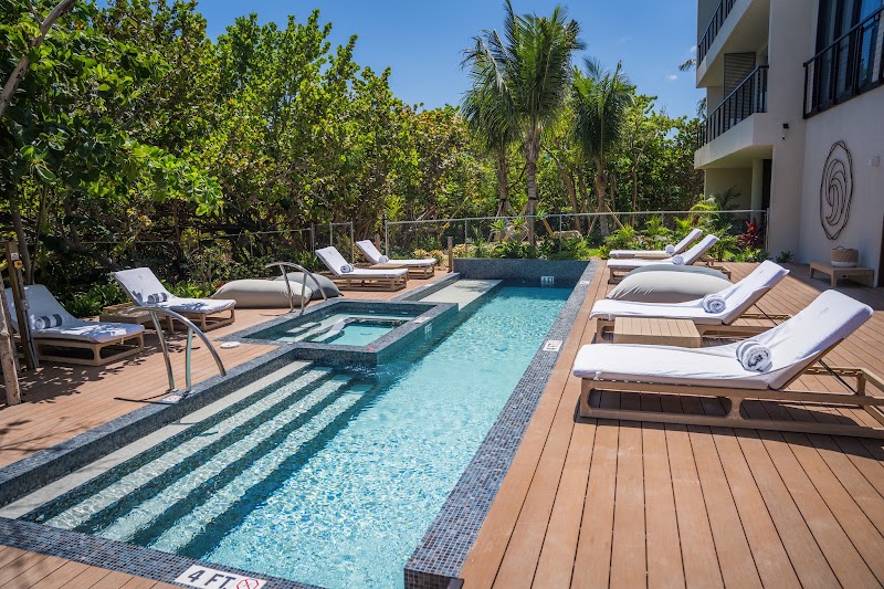 VIDA Cayman — Boutique Hotel in West Bay, Grand Cayman photo 3